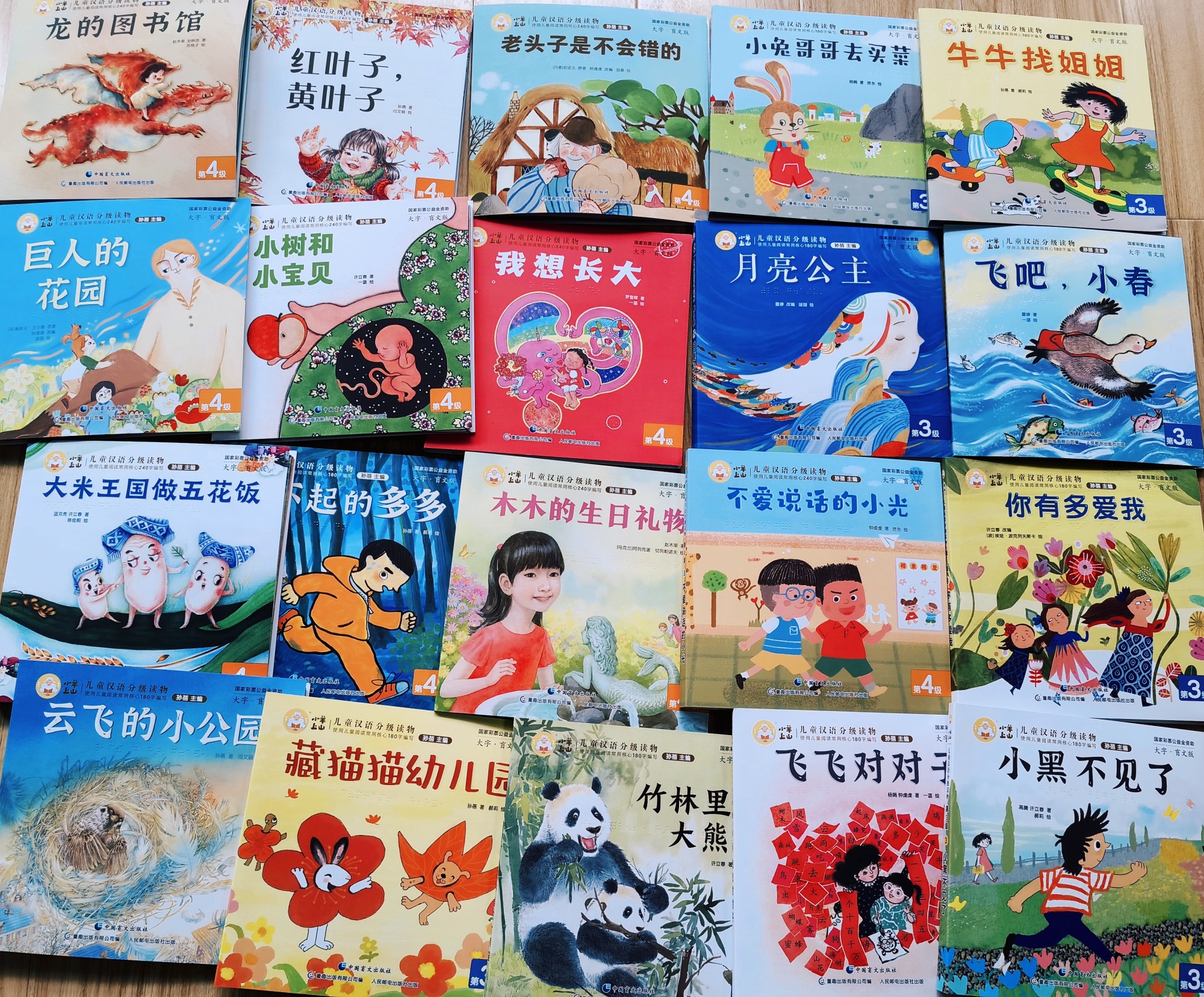 《小羊上山》 點亮視障兒童的閱讀星空